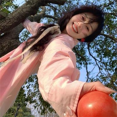 偷鸡摸狗